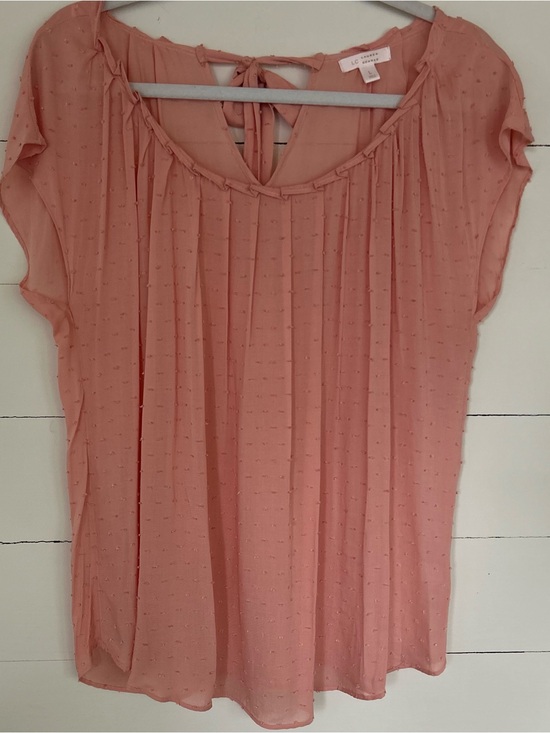 LC Lauren Conrad Tops - Lauren Conrad Sheer Soft Blush Swiss Dot Tie-Back Blouse. Size Large.